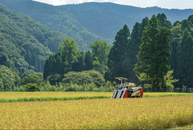 AGROFORESTRY